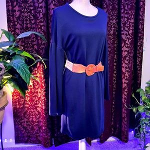 Zara long sleeve dress, woman’s Sz Sm